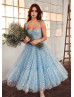 Sky Blue Printed Hearts Tulle Sweet Midi Party Dress